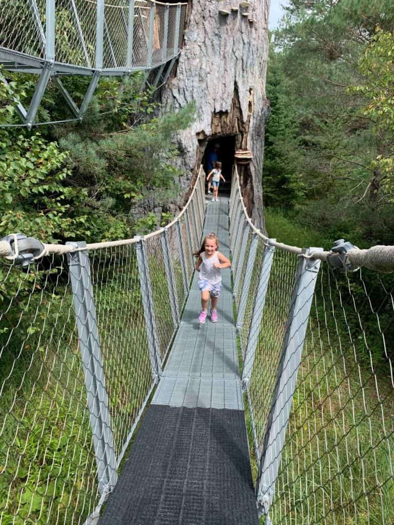A girl running toward the camera on a suspended bridge in the Adirondacks in New York.