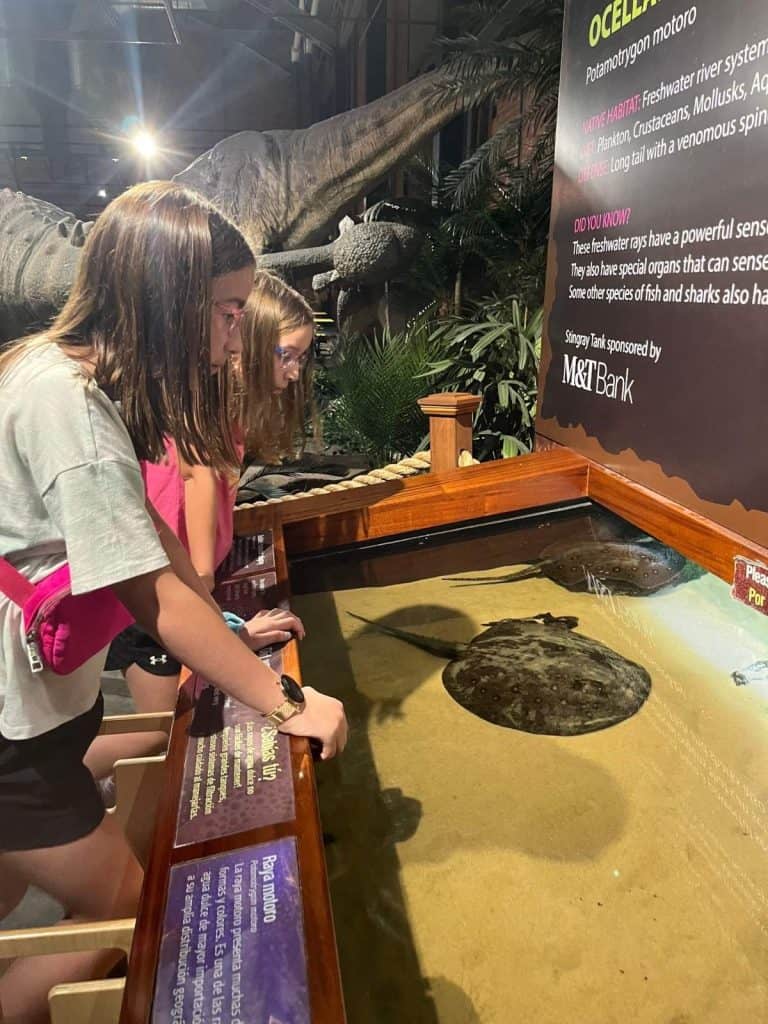 Two girls look into a stingray exhibit at the MOST science museum in Syracuse, NY. Two girls look into a water exhibit where sting rays are swimming below.