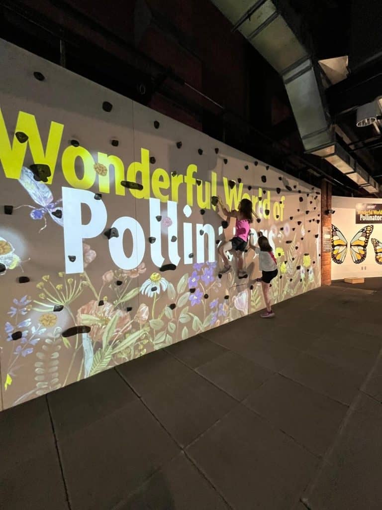 Two girls climb, get their energy out, and learn about pollinators on the Wonderful World of Pollinators exhibit at the science museum in Syracuse. Two girls climb on a climbing wall with the words Wonderful World of Pollinators and flowers and butterflies pictured on the wall.