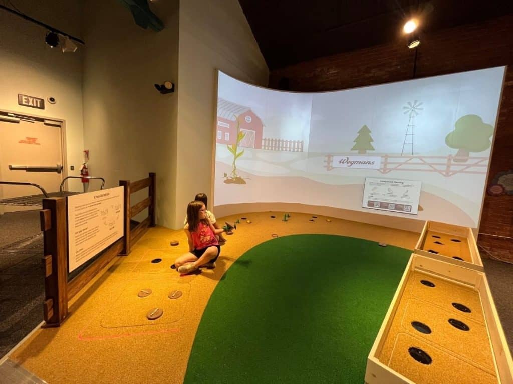Two kids play on a day trip in the agricultural exhibit at the science museum in Syracuse, NY. Two girls look at a projection screen showing a farm, and plant and pull circular plants from brown carpet made to look like soil near green grass carpet.